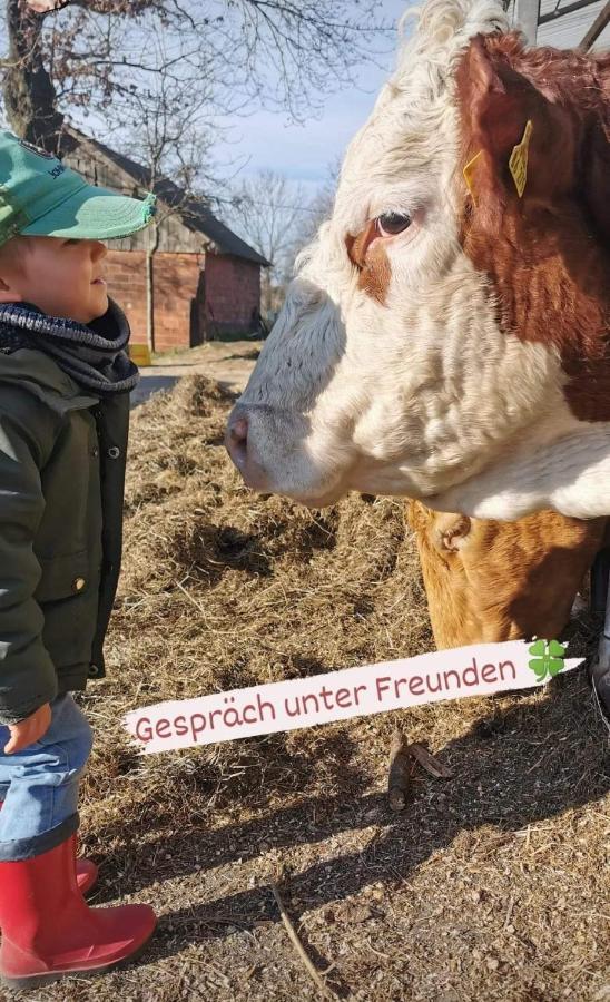 Hof Schumacher Kruzen Esterno foto